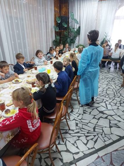 Родительский контроль за организацией питания в школе.